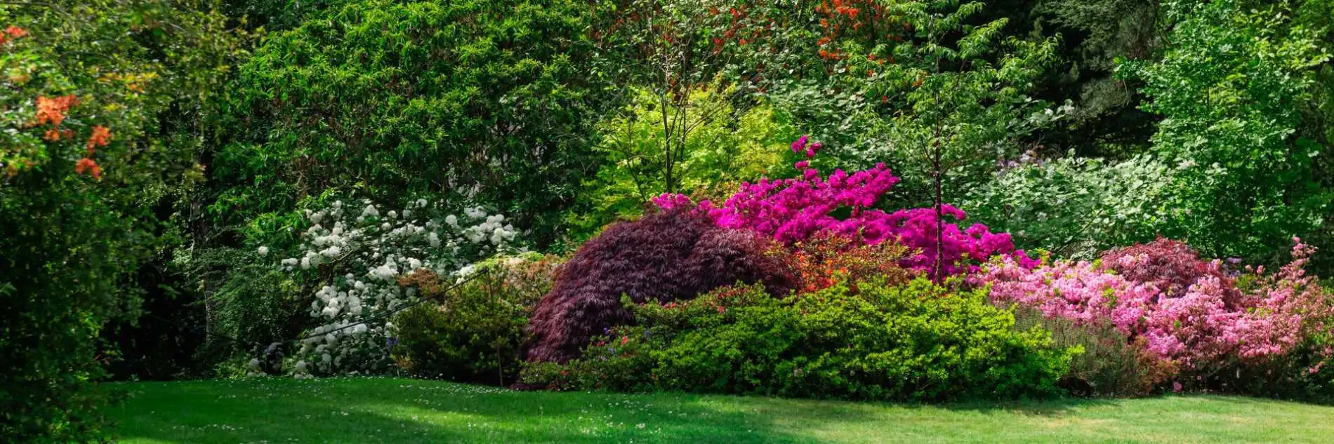 Garden with blossoming trees in spring near Keighley, Pollards Forestry & Landscaping Contractors
