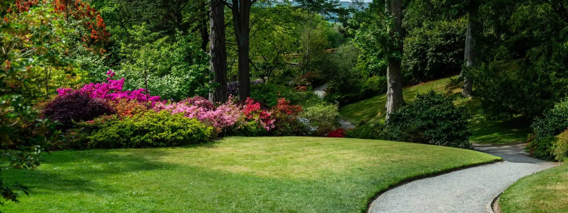 Spring garden with flowering shrubs and lawn representing landscaping by Pollards Forestry & Landscaping Contractors